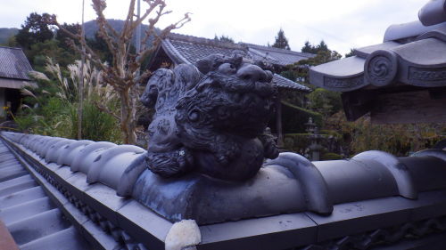 c0337631_00000104.jpg