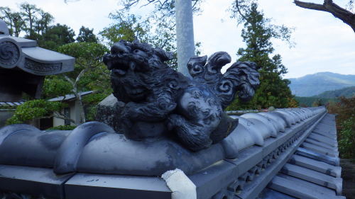 c0337631_00000326.jpg