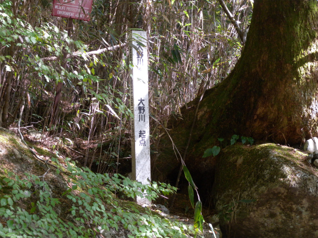 e0272335_19535917.jpg