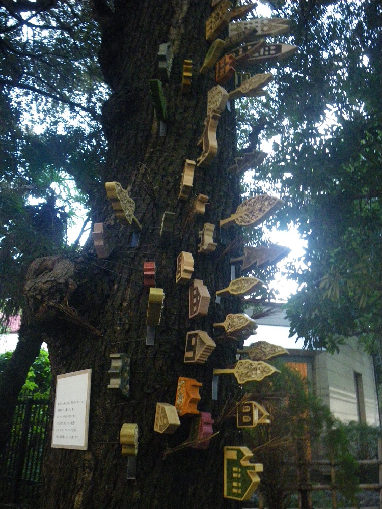 c0033636_21264327.jpg