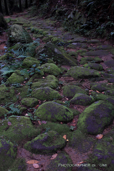 e0083238_1911255.jpg