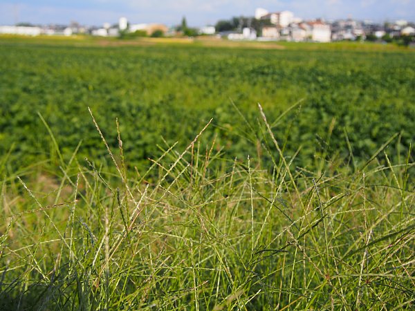 b0341140_1614166.jpg
