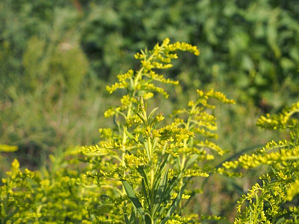 b0341140_16154020.jpg