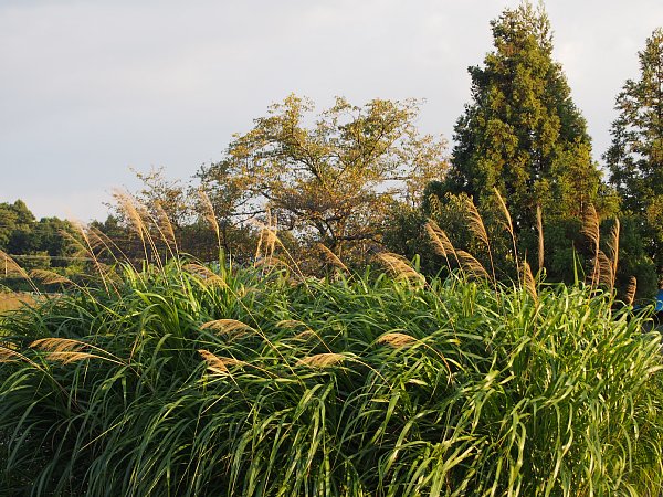 b0341140_16164241.jpg