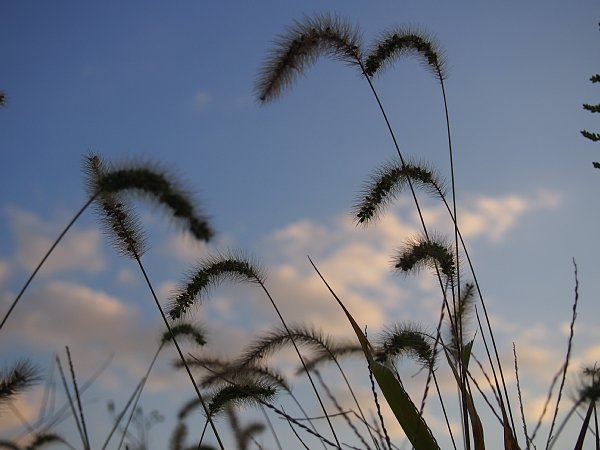b0341140_16181766.jpg