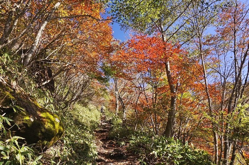 b0122448_07123311.jpg