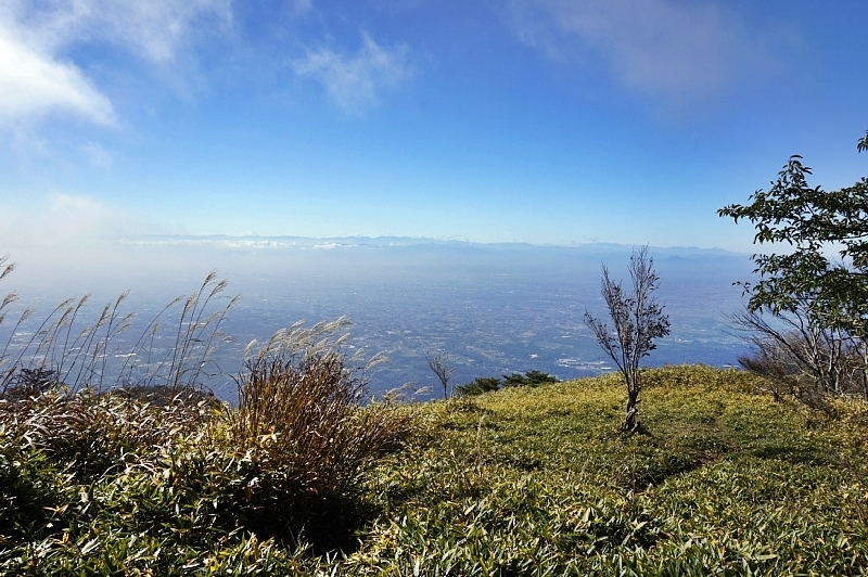 b0122448_07154898.jpg