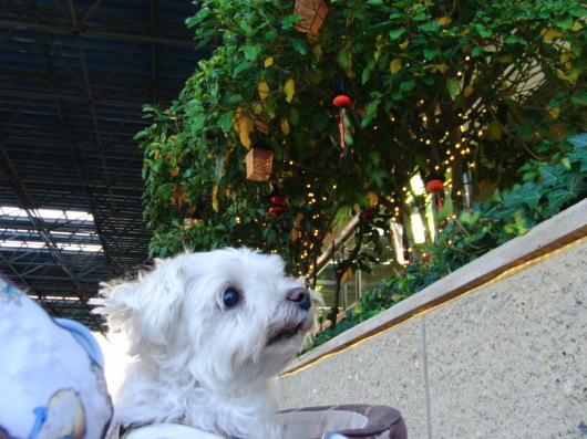b0254548_10214850.jpg