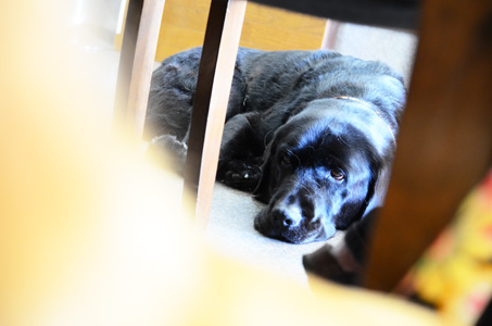 f0044853_2010152.jpg