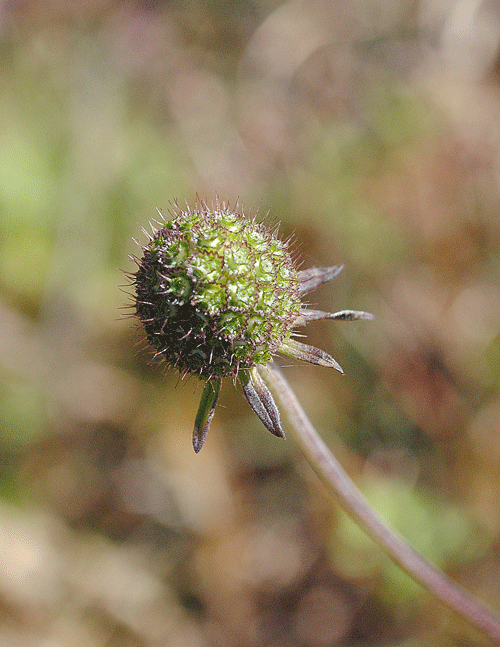 a0001354_23421313.gif