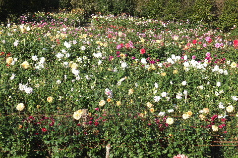 e0088260_22255006.jpg