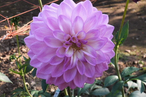 e0088260_22271254.jpg