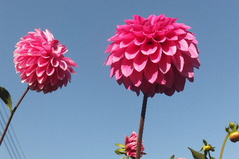 e0088260_22274247.jpg