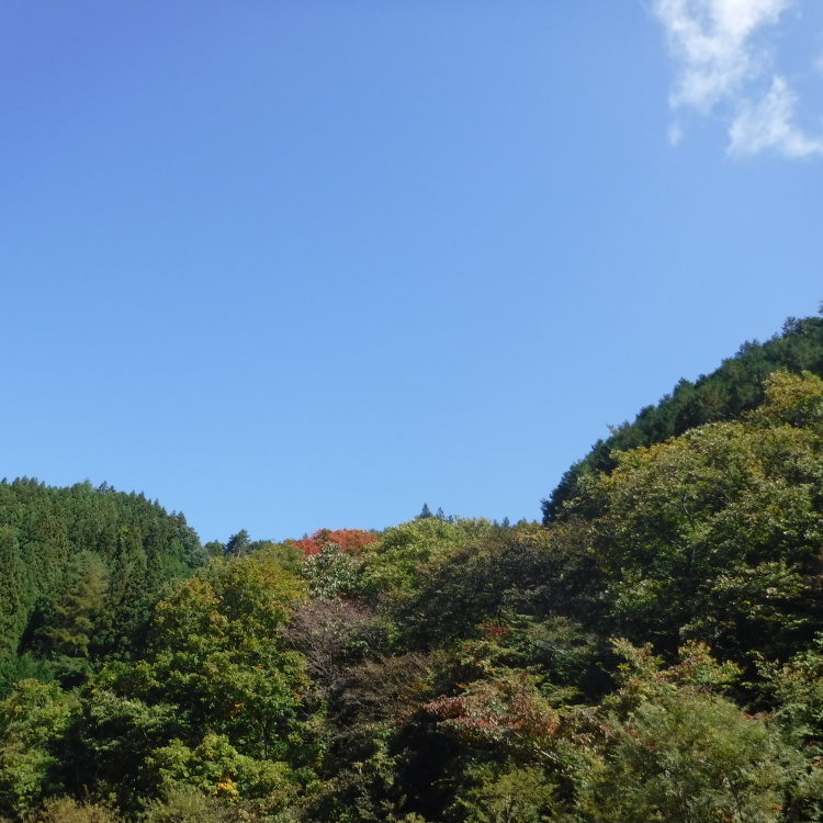 b0304662_19220404.jpg