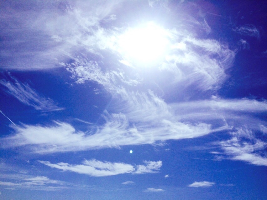 c0195362_19070003.jpg