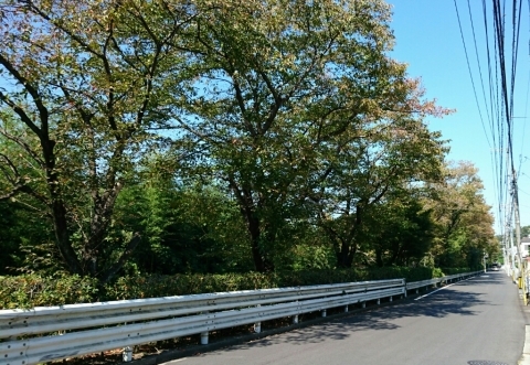 f0146466_12462884.jpg
