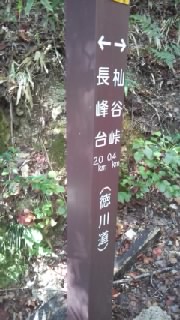 f0200871_013482.jpg