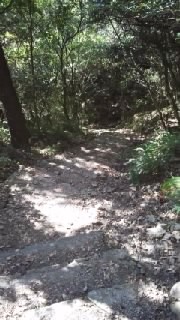 f0200871_0134844.jpg