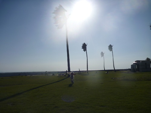 e0161972_8193021.jpg