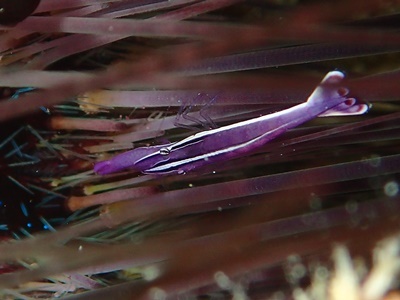 b0033573_18543859.jpg