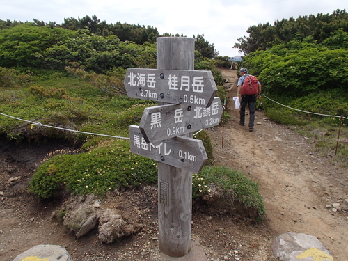 f0130376_1952498.jpg