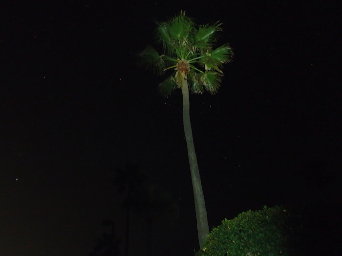 c0197578_10234377.jpg