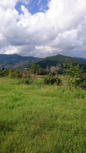 b0350090_22015797.jpg