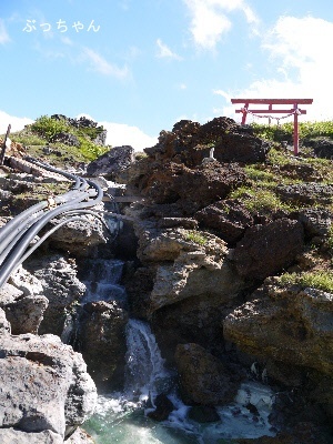 f0353990_20515209.jpg