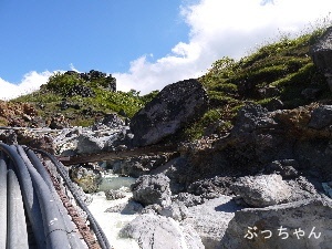 f0353990_20521844.jpg