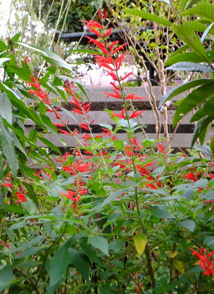 c0115596_22232077.jpg