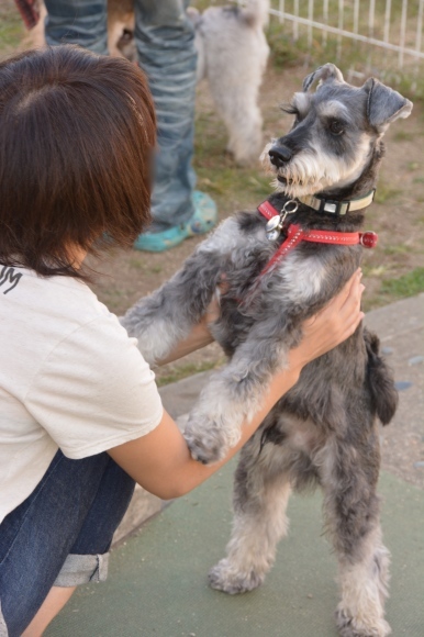 b0188998_00043951.jpg