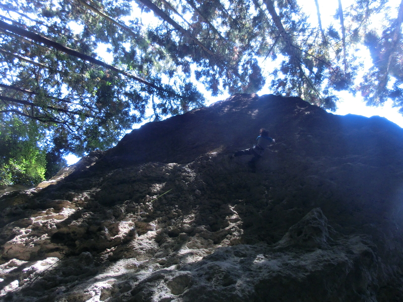 d0151699_0491027.jpg