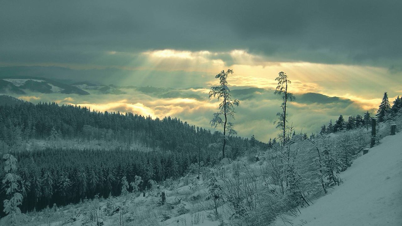 c0072801_17195527.jpg