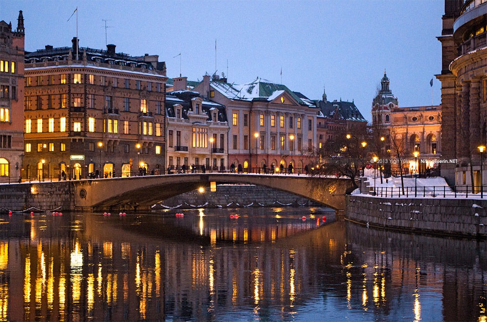c0072801_173336.jpg