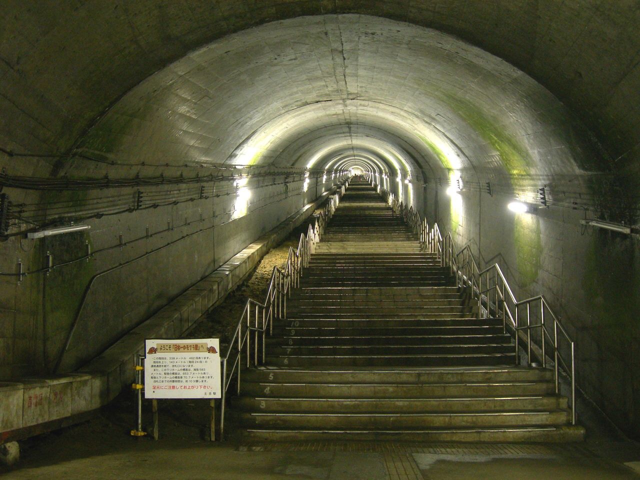 c0072801_1765927.jpg