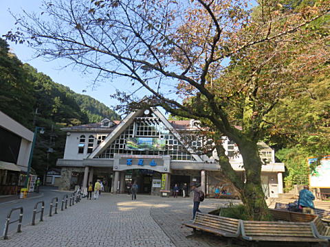d0046702_5232449.jpg
