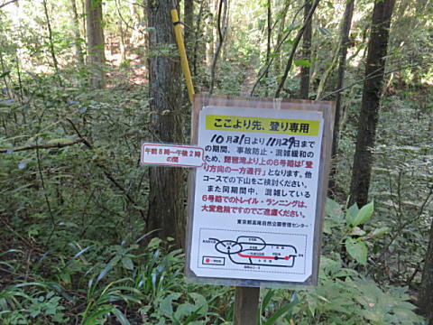 d0046702_5234081.jpg