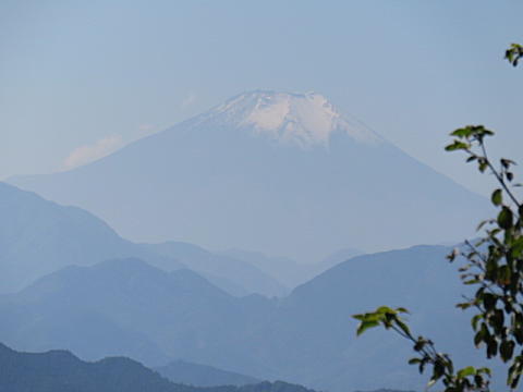 d0046702_5241312.jpg