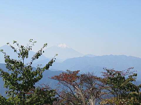 d0046702_524241.jpg