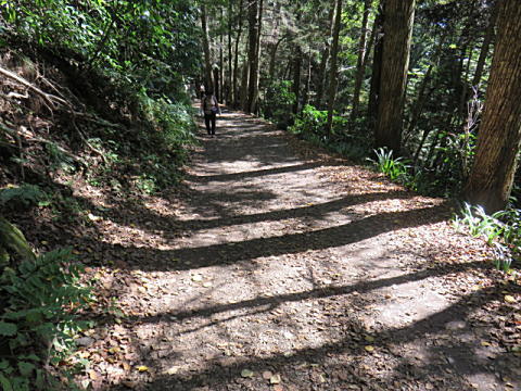 d0046702_6322524.jpg