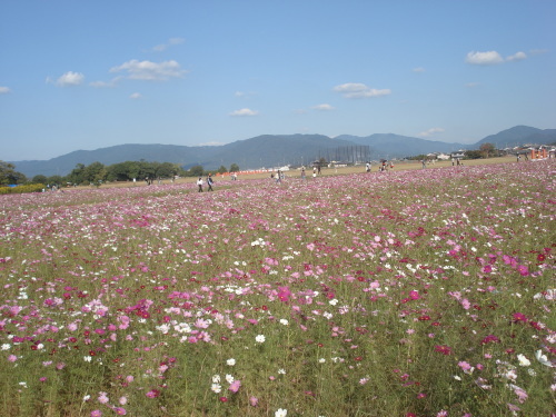 e0353802_10402178.jpg