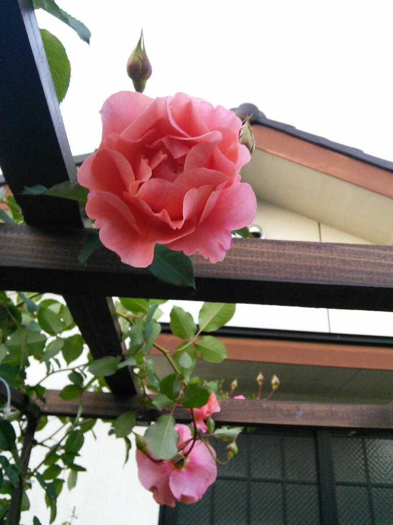 b0307008_08043775.jpg