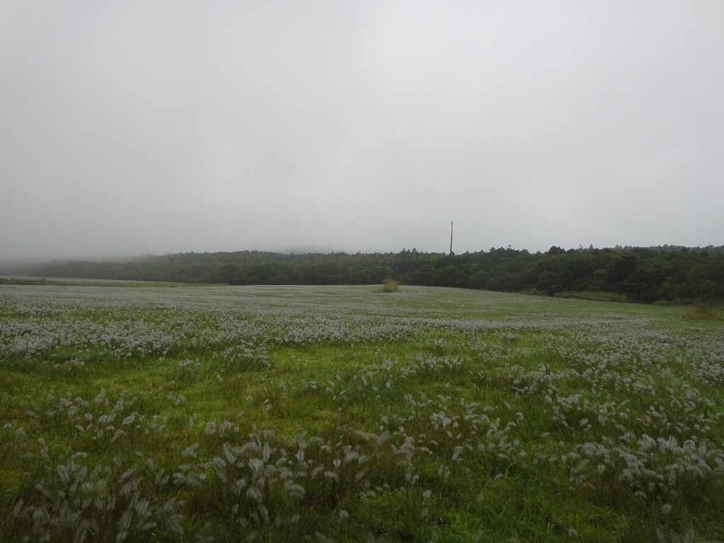 c0337813_12112128.jpg