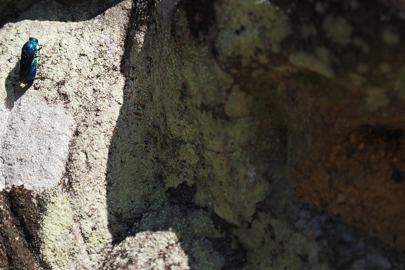 c0369423_20402544.jpg