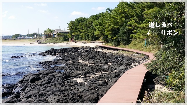 a0115924_01250650.jpg