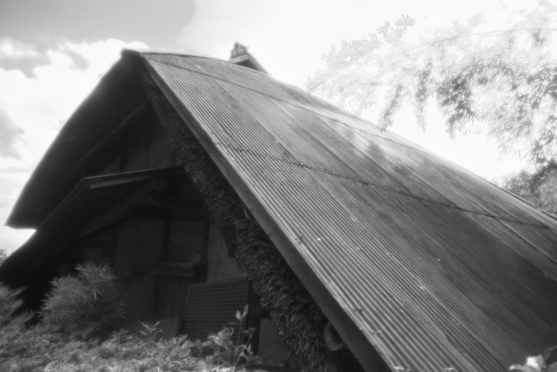 c0109827_16464490.jpg