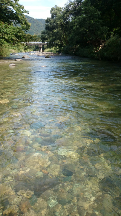 c0133133_14464736.jpg