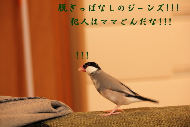 c0365734_22544372.jpg
