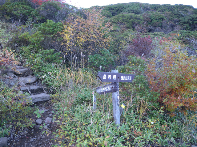 e0272335_5251499.jpg