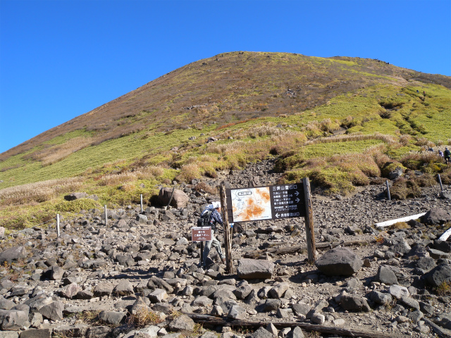 e0272335_529241.jpg
